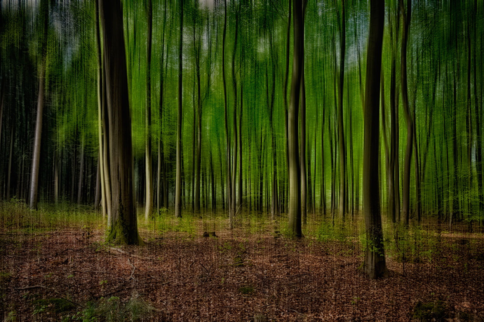 Kloster Heisterbach 0149 Wiederhergestellt