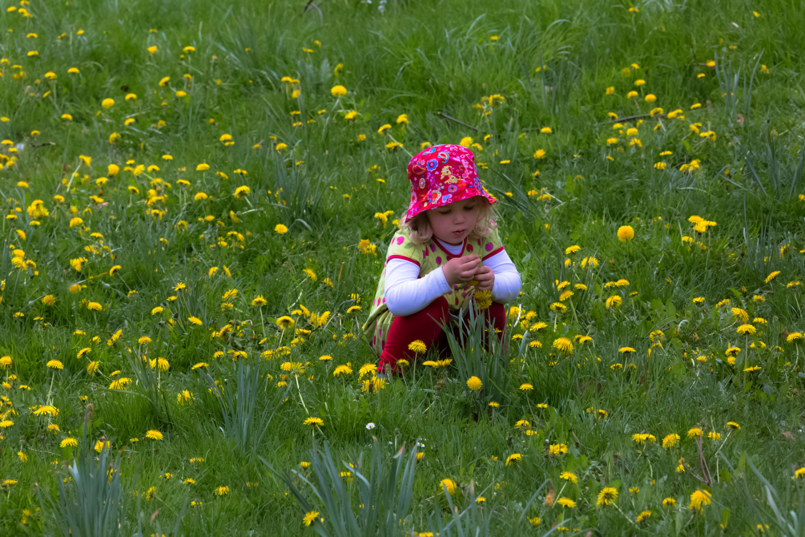 Kloster Heisterbach 0114