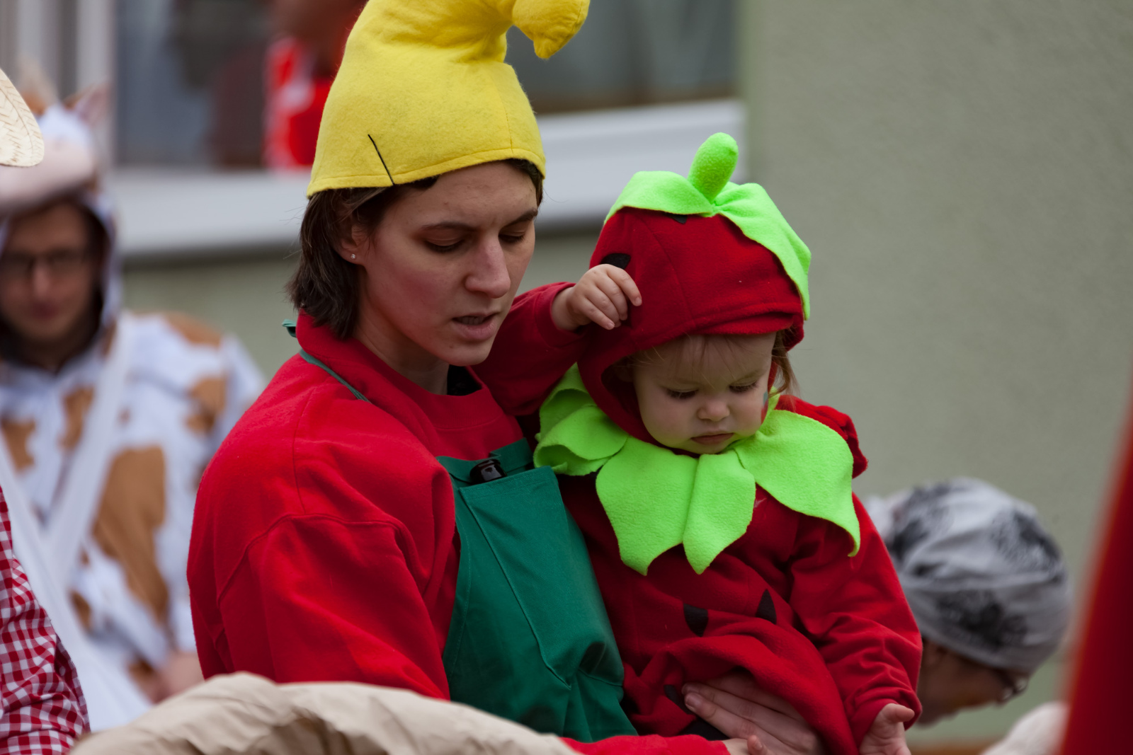 Karneval Rheinbreitbach2017 0355