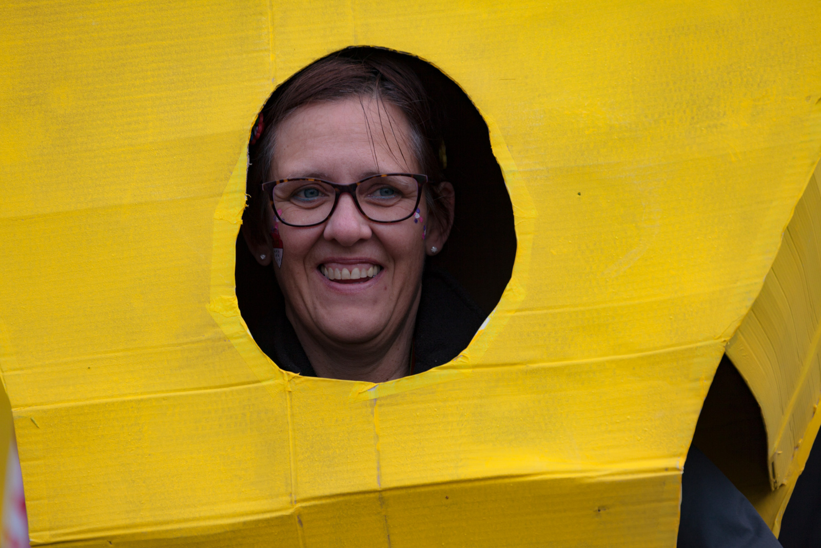 Karneval Rheinbreitbach2017 0368