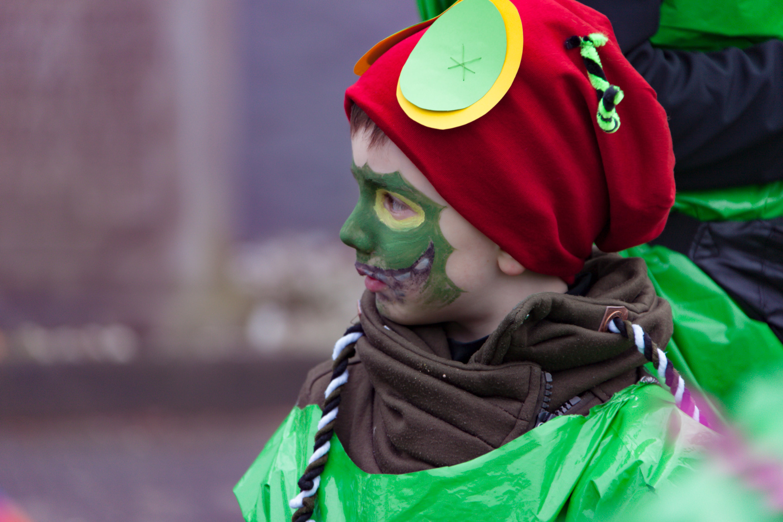 Karneval Rheinbreitbach2017 0386