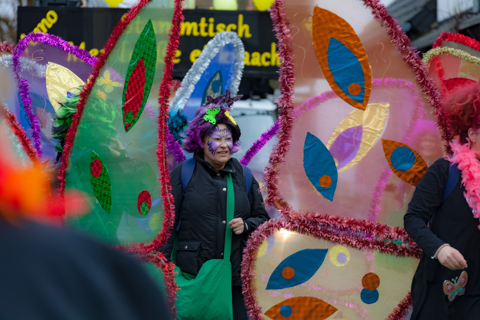Karneval Rheinbreitbach2017 0423