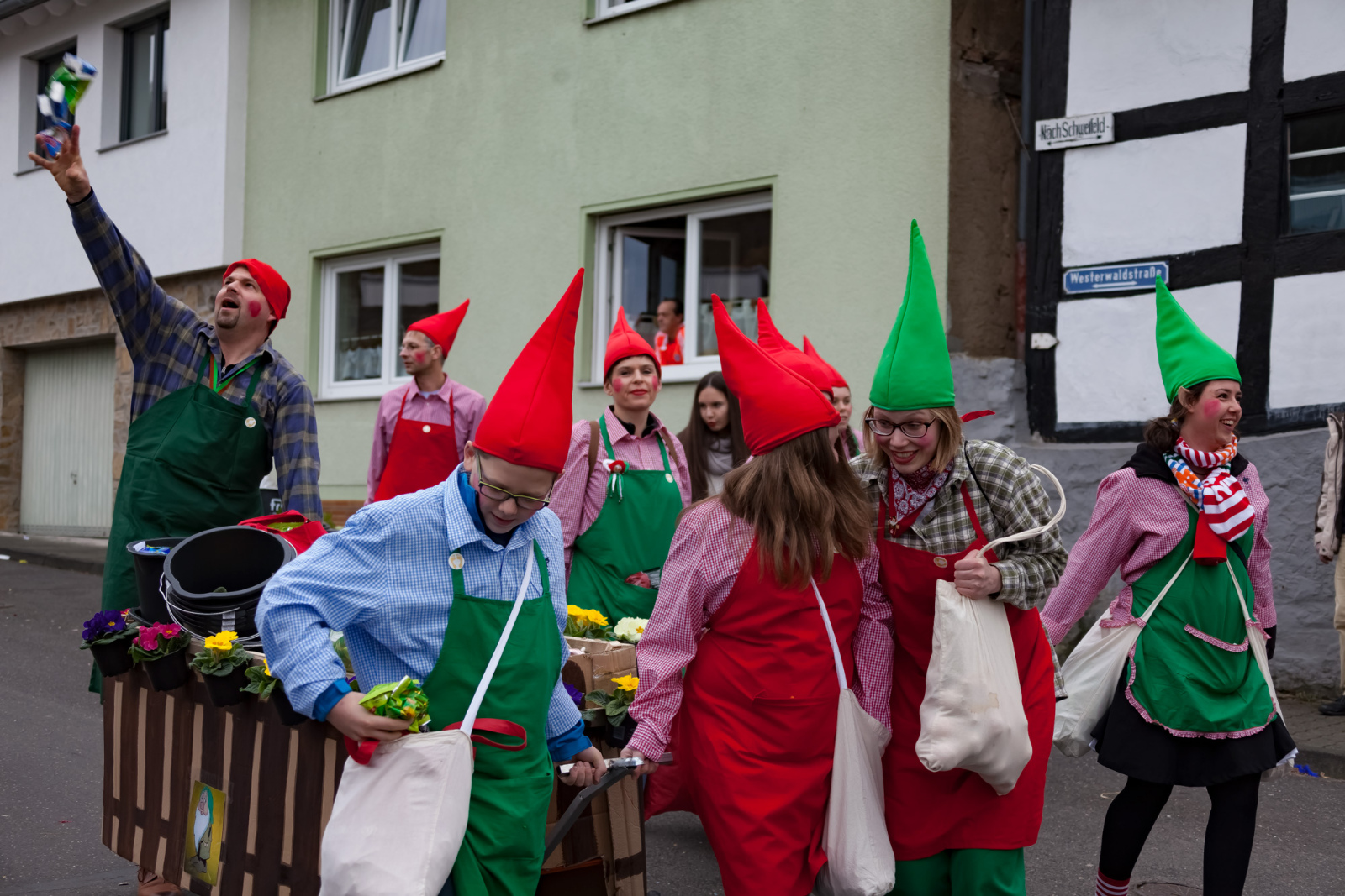 Karneval Rheinbreitbach2017 0462