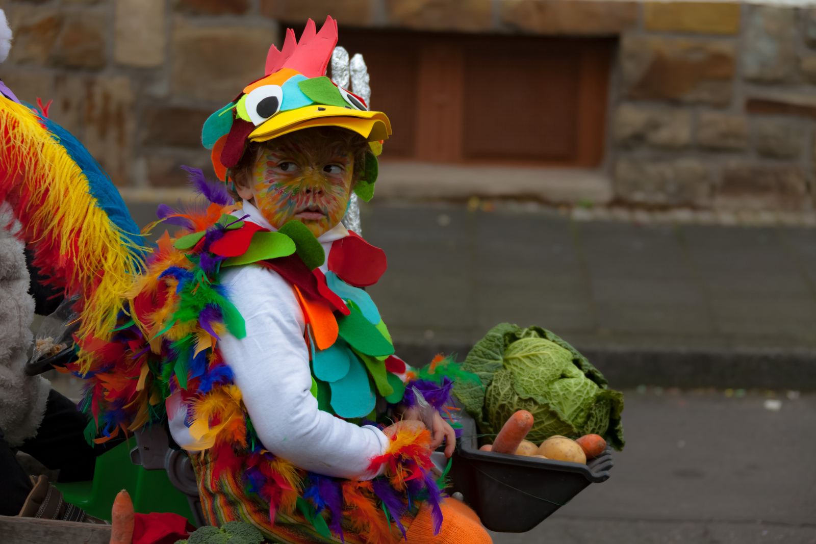 Karneval Rheinbreitbach2017 0523