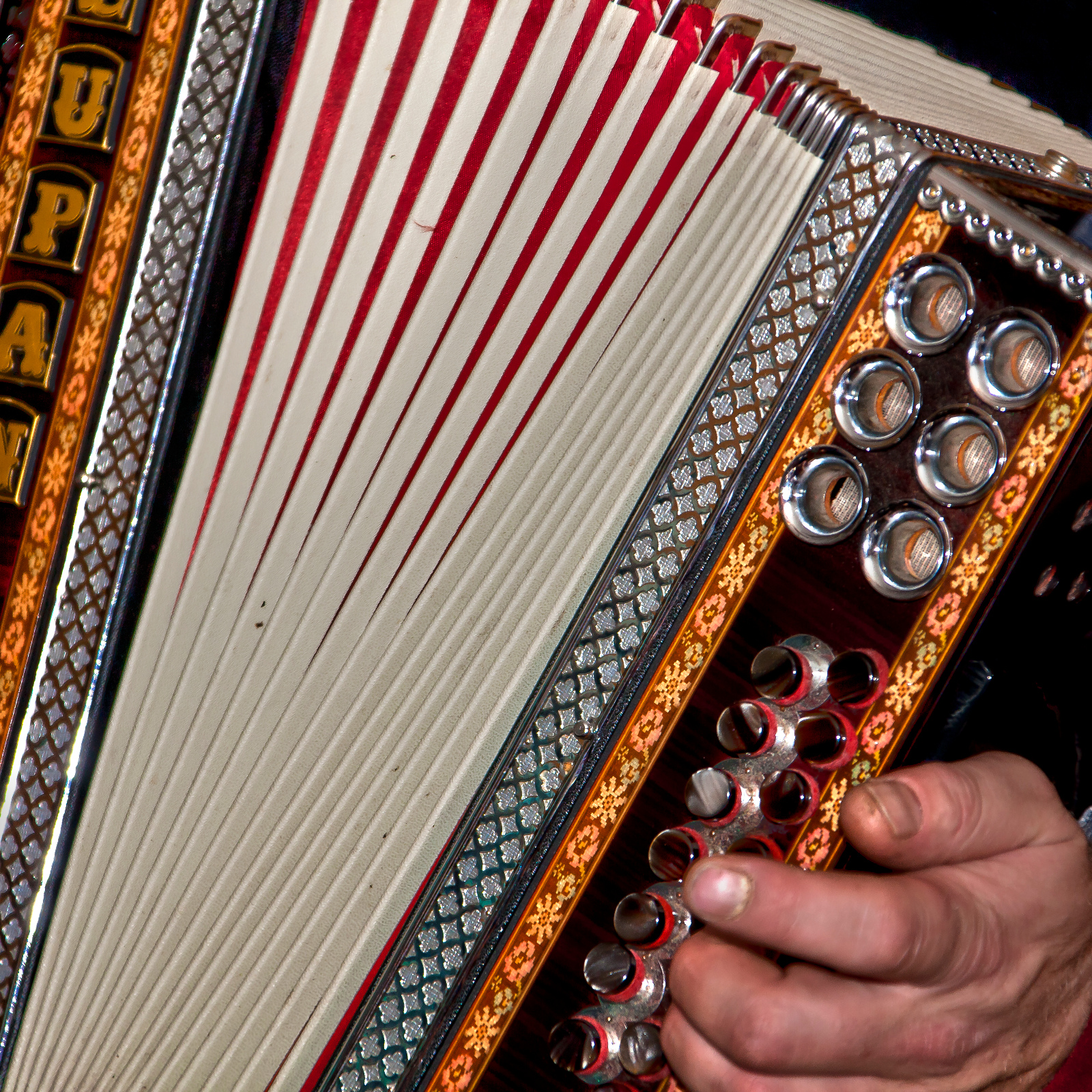 Akordion1