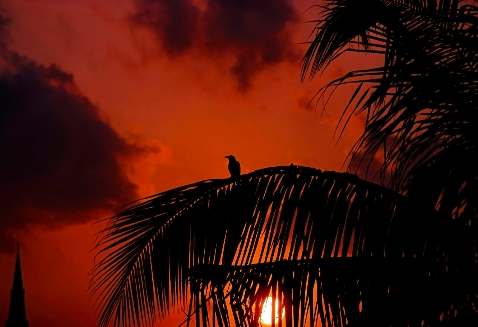 Colombo Sonnenuntergang